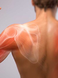 How Much Muscle You're Actually Losing (Year by Year)