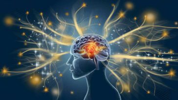 Neuroplasticity