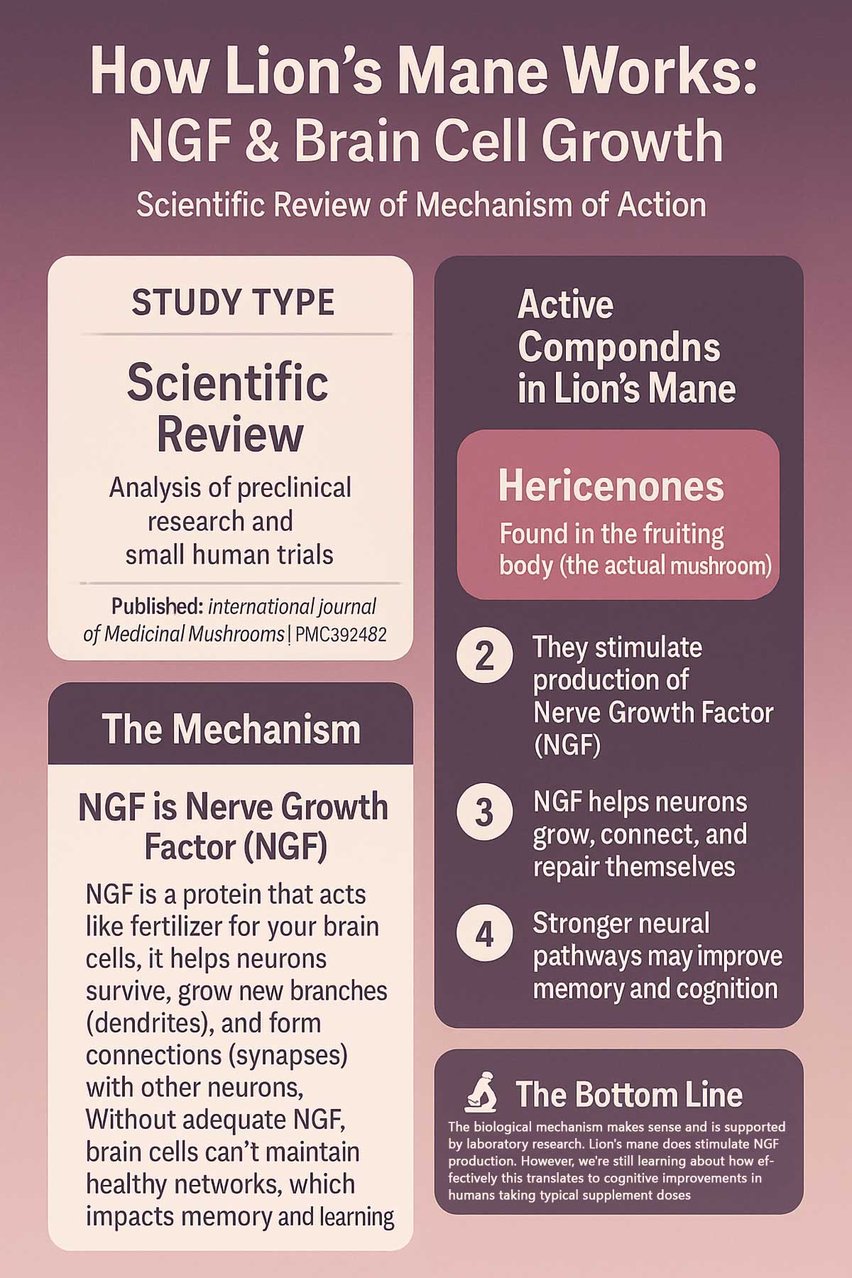 NGF Neurogenesis Study Infographic NGF Neurogenesis Study Infographic