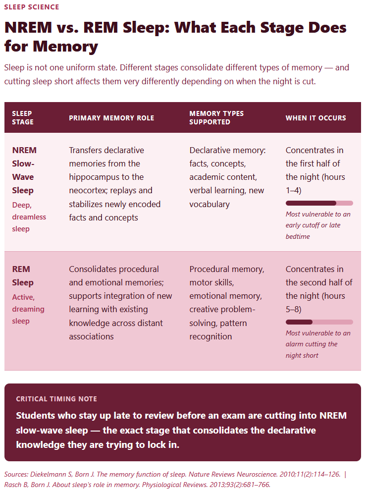 NREM vs. REM Sleep What Each Stage Does for Memory NREM vs. REM Sleep What Each Stage Does for Memory