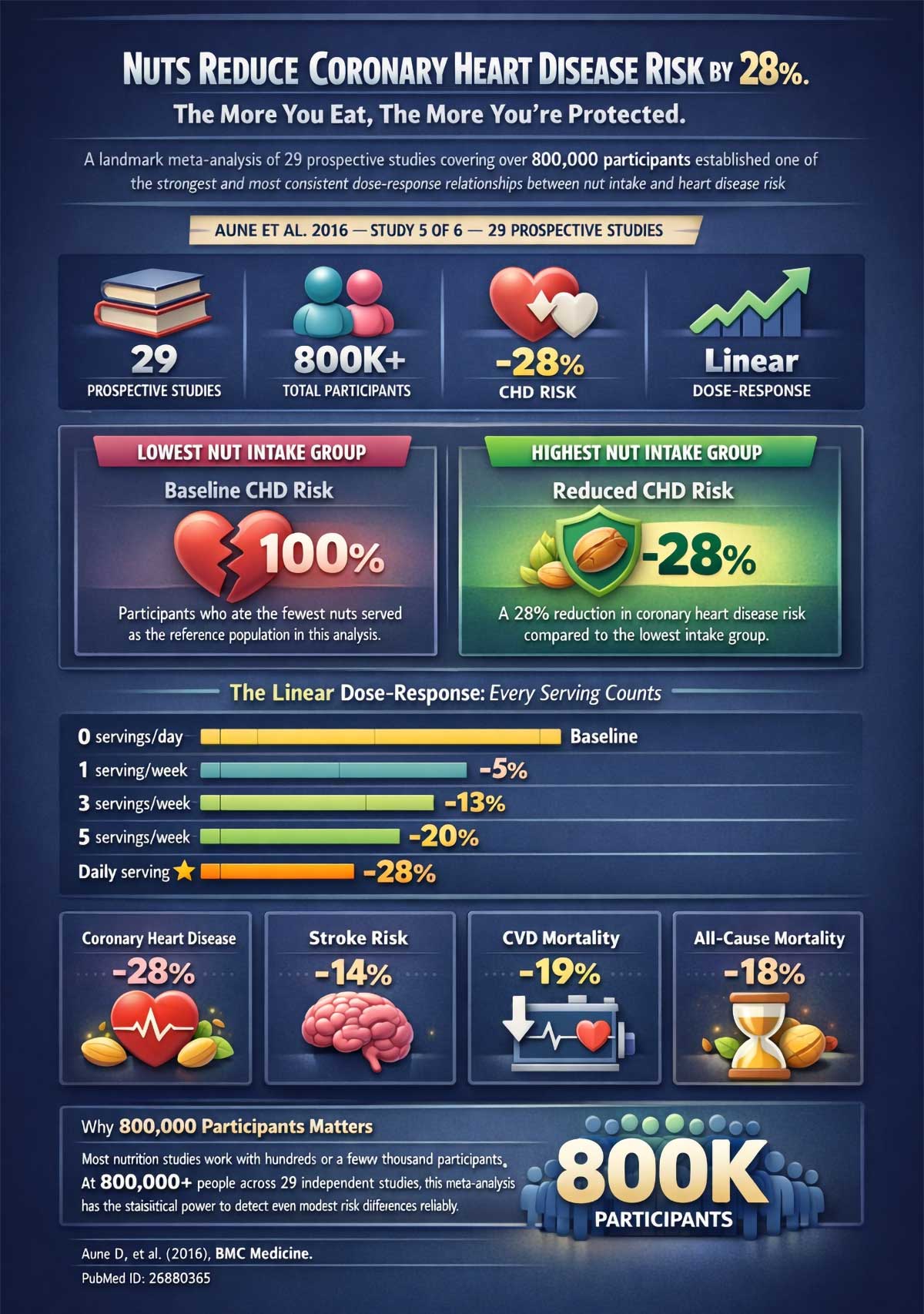 Nuts Reduce Coronary Heart Disease Risk by % The More You Eat, The More You're Protected