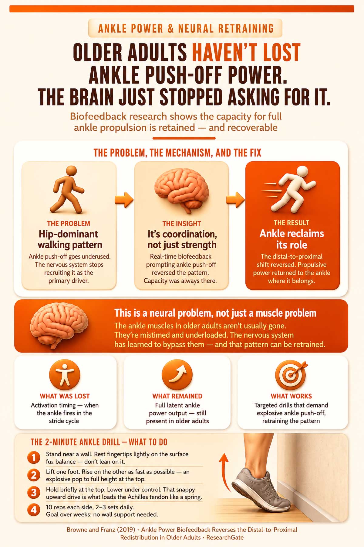 Older adults haven't lost ankle push off power Older adults haven't lost ankle push off power