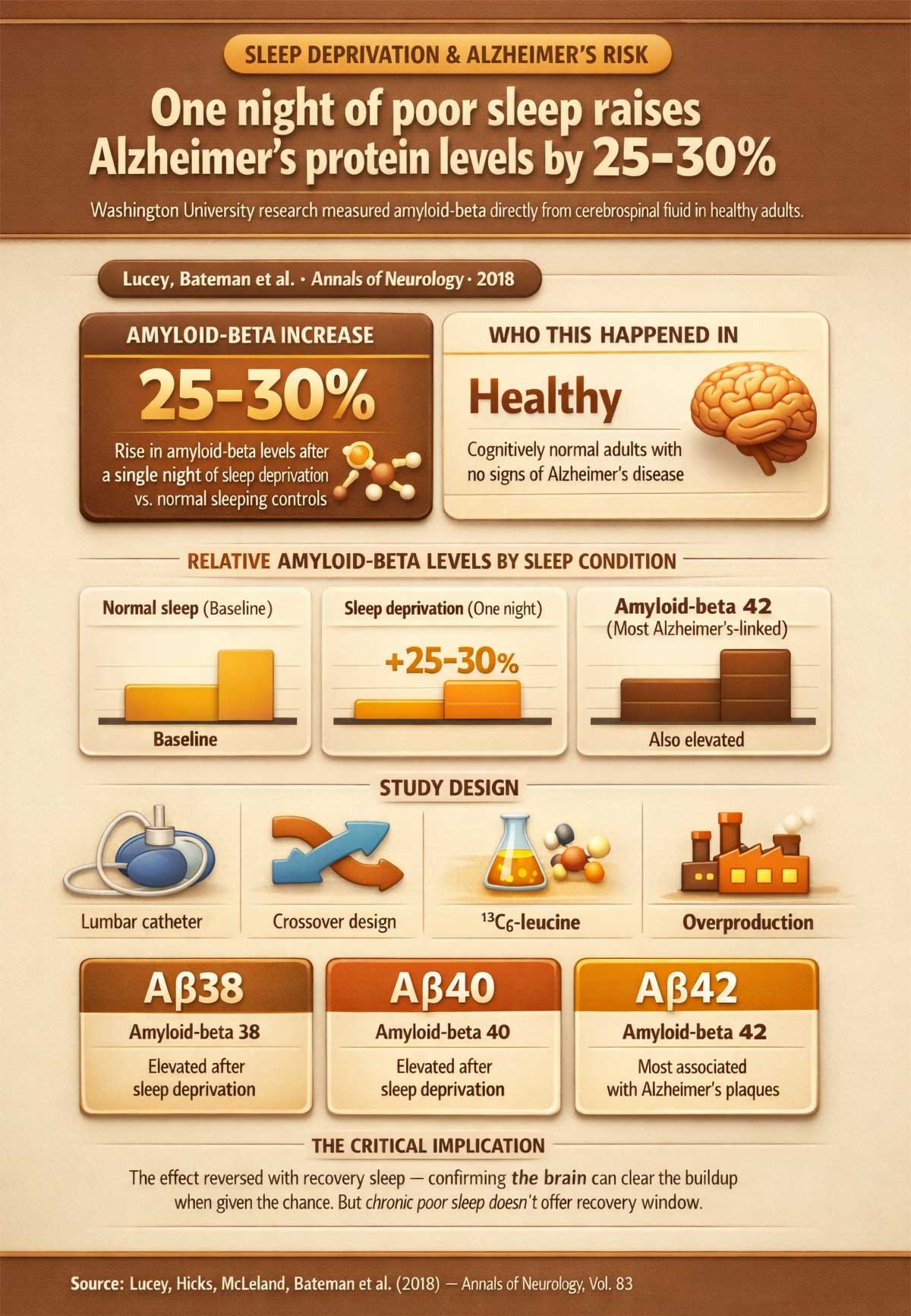 One night of poor sleep raises Alzheimer's protein levels by –%