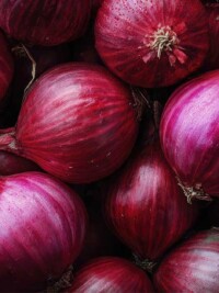 What Onions Do to Your Gut Bacteria (the Science Is More Specific Than You'd Expect)
