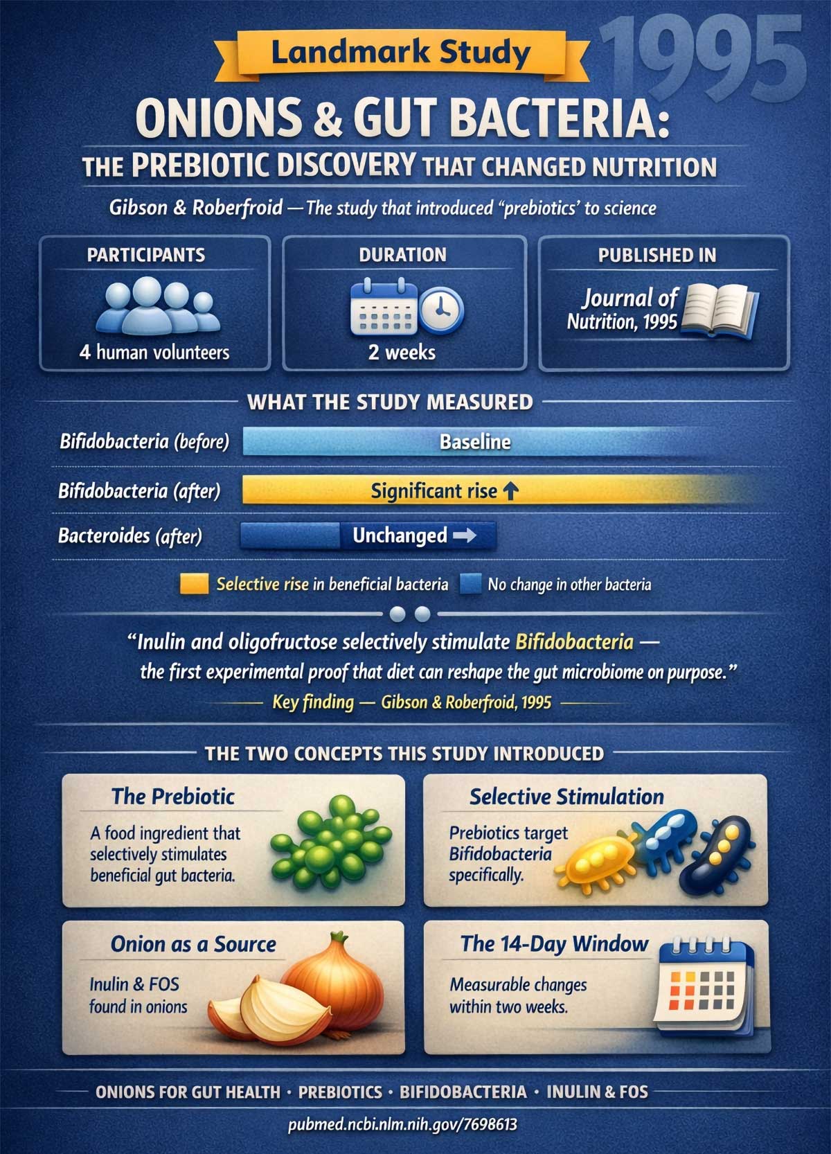 Onions & Gut Bacteria