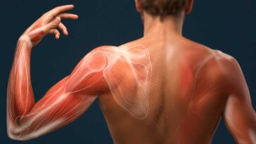 over 40 muscle loss