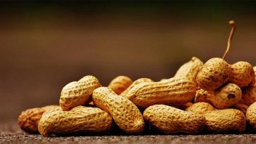peanuts