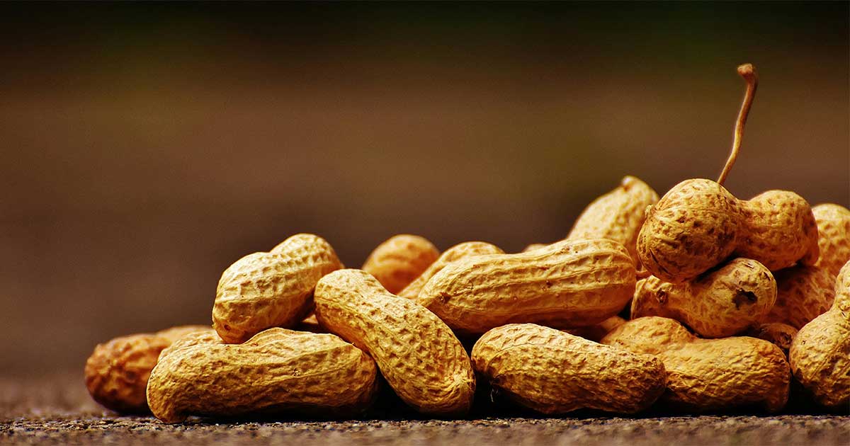 peanuts