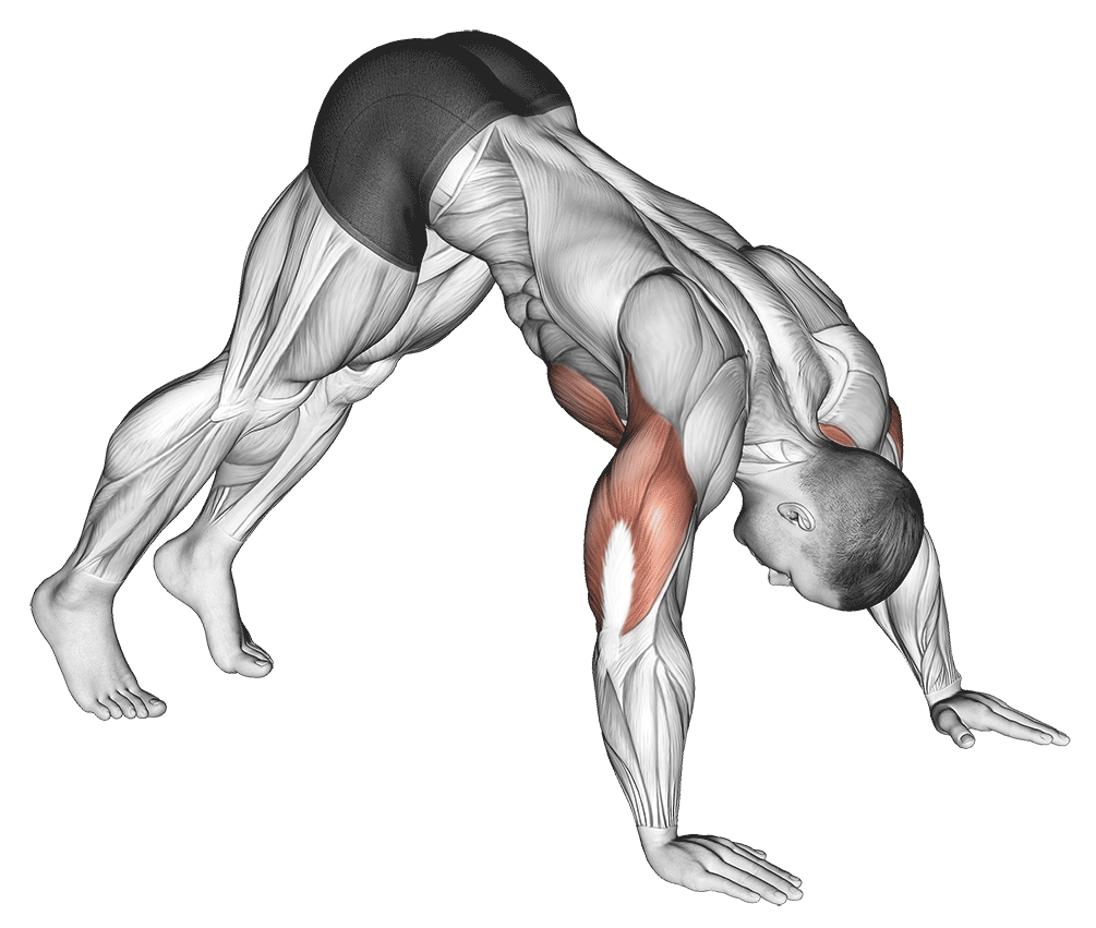 Pike Push Ups
