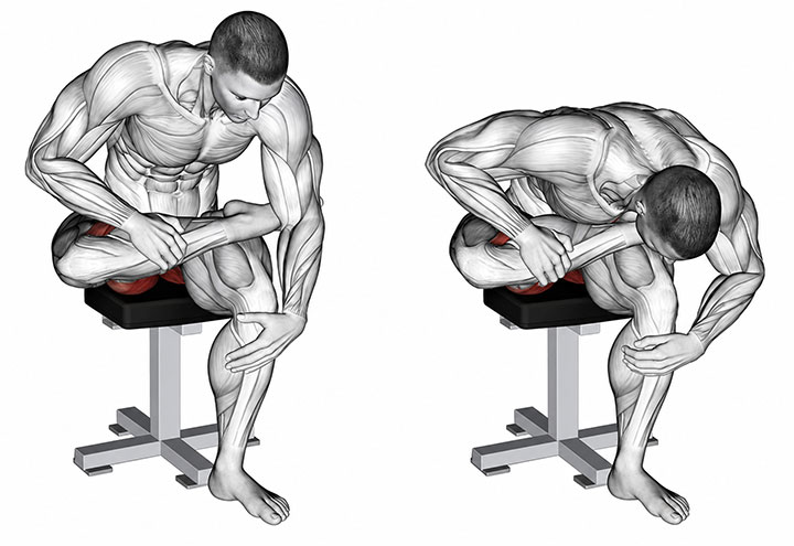 Piriformis Stretch (Seated) Piriformis Stretch (Seated)