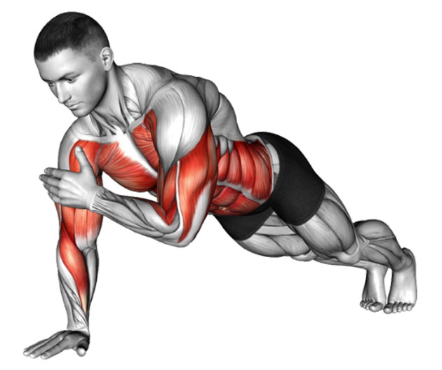 Plank Shoulder Taps