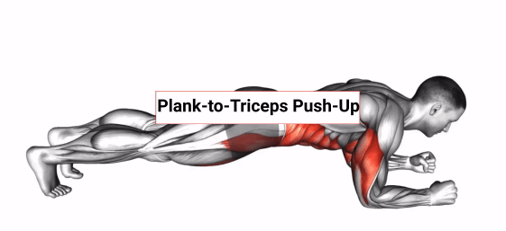 Plank to Push Up