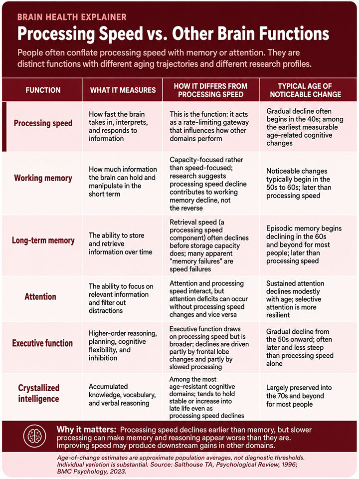 Processing Speed vs. Other Brain Functions Processing Speed vs. Other Brain Functions