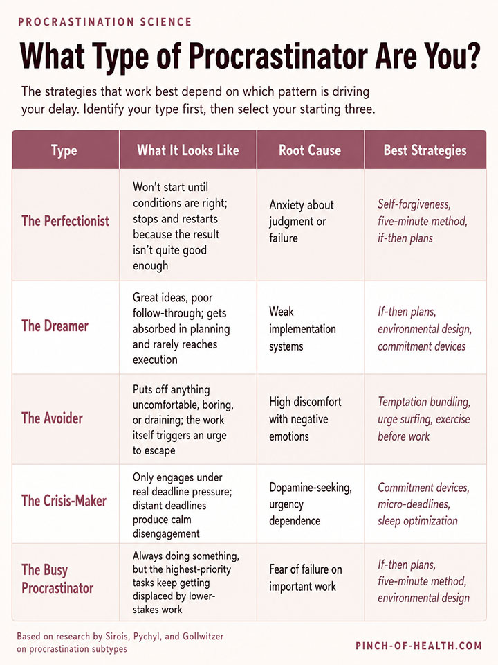Procrastination Science Type Chart Procrastination Science Type Chart