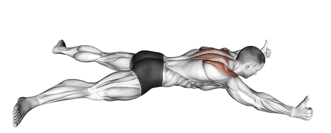 Prone Y Lifts