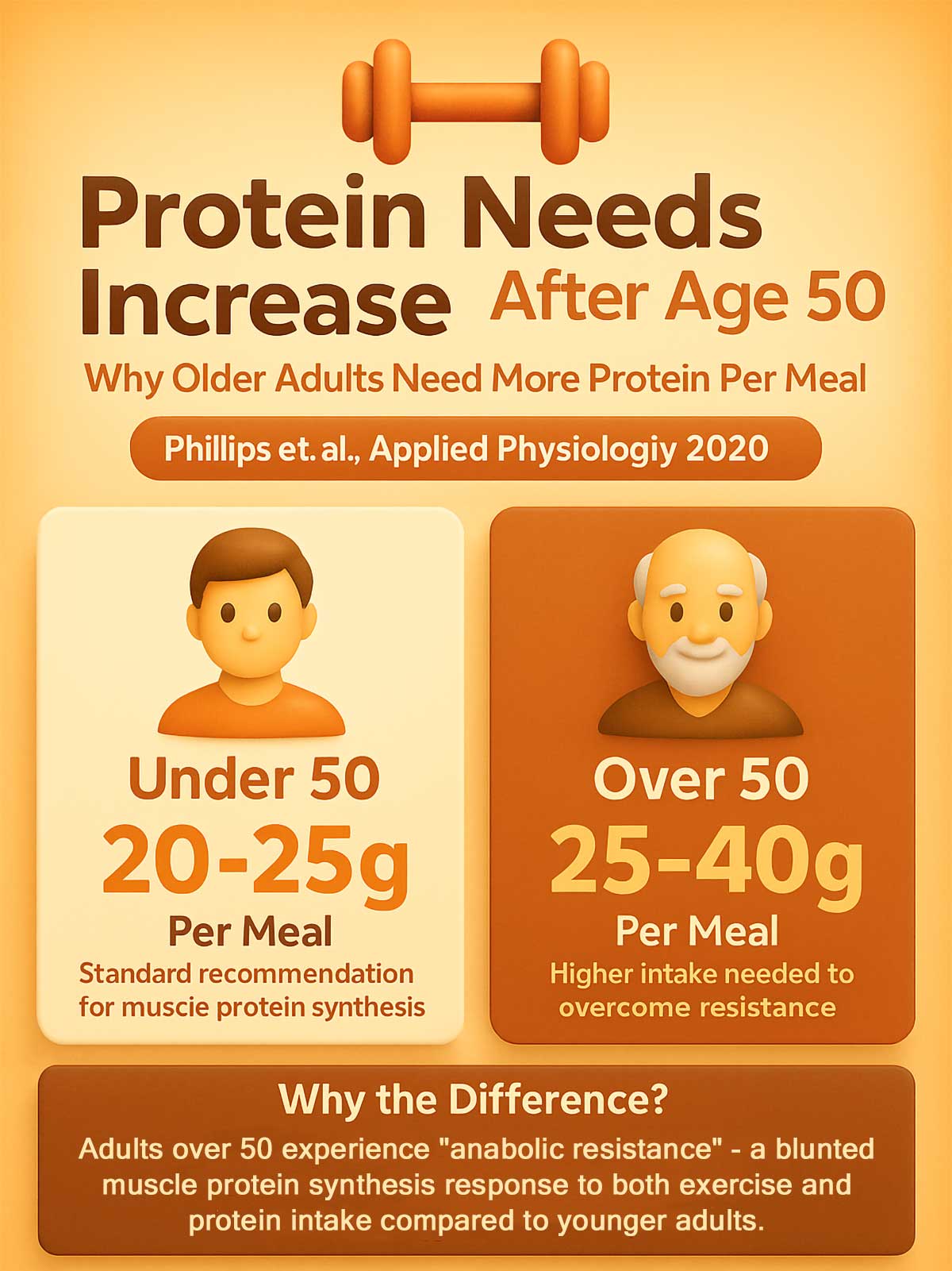 Protein Needs for Muscle Building Over