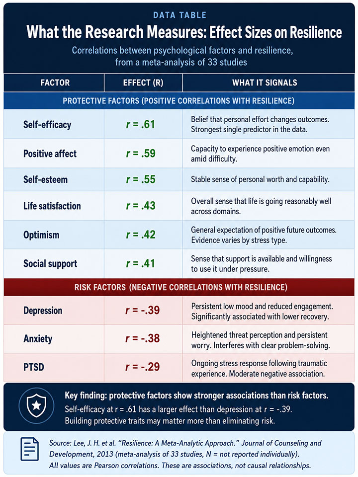 Resilience Research Effect Sizes Table Resilience Research Effect Sizes Table