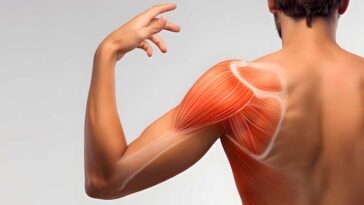 Rotator Cuff