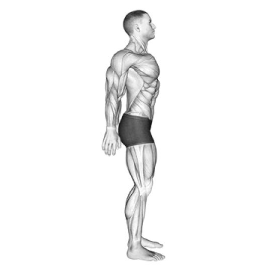 Scapular Squeeze