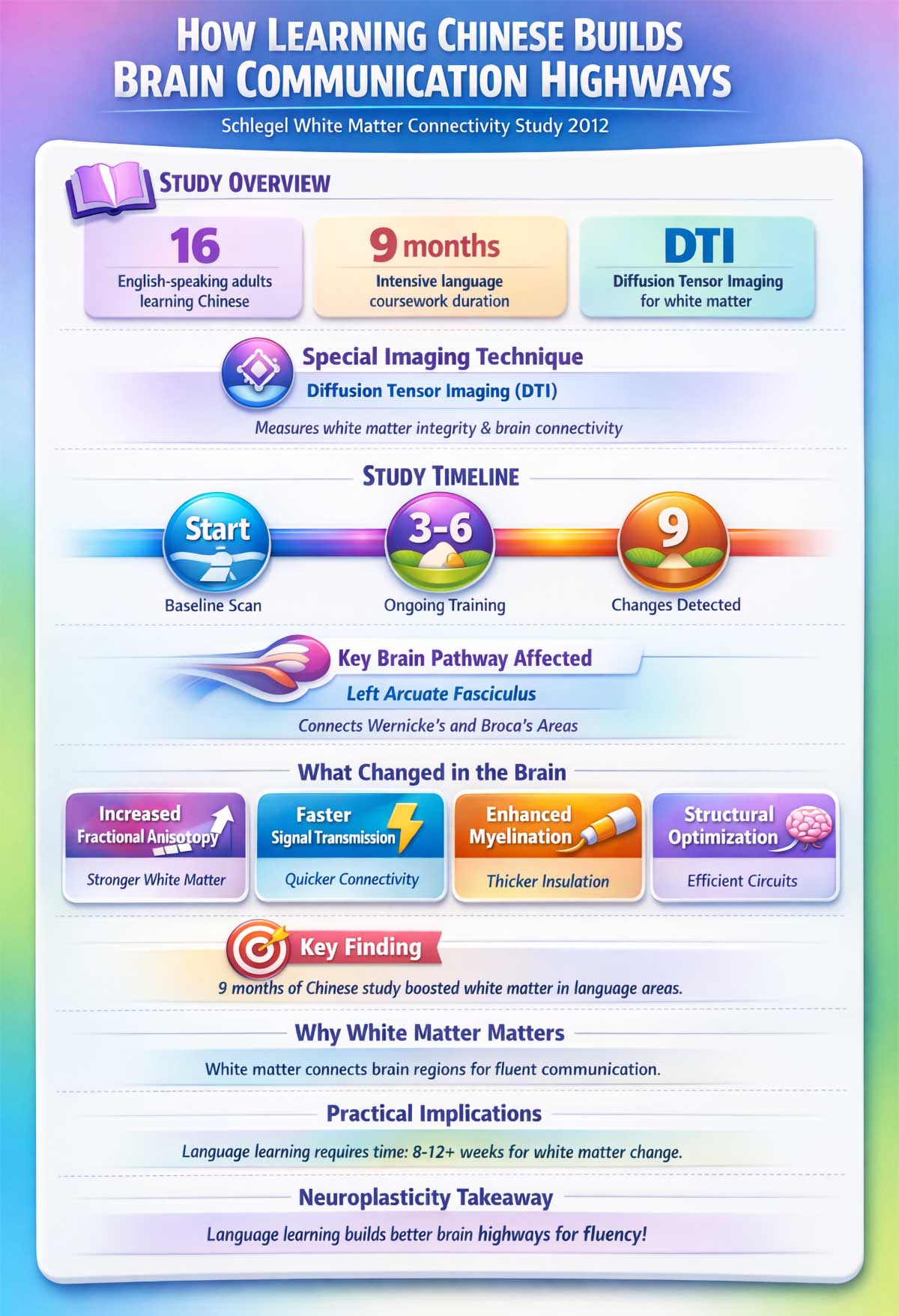 Schlegel White Matter Connectivity Study Schlegel White Matter Connectivity Study