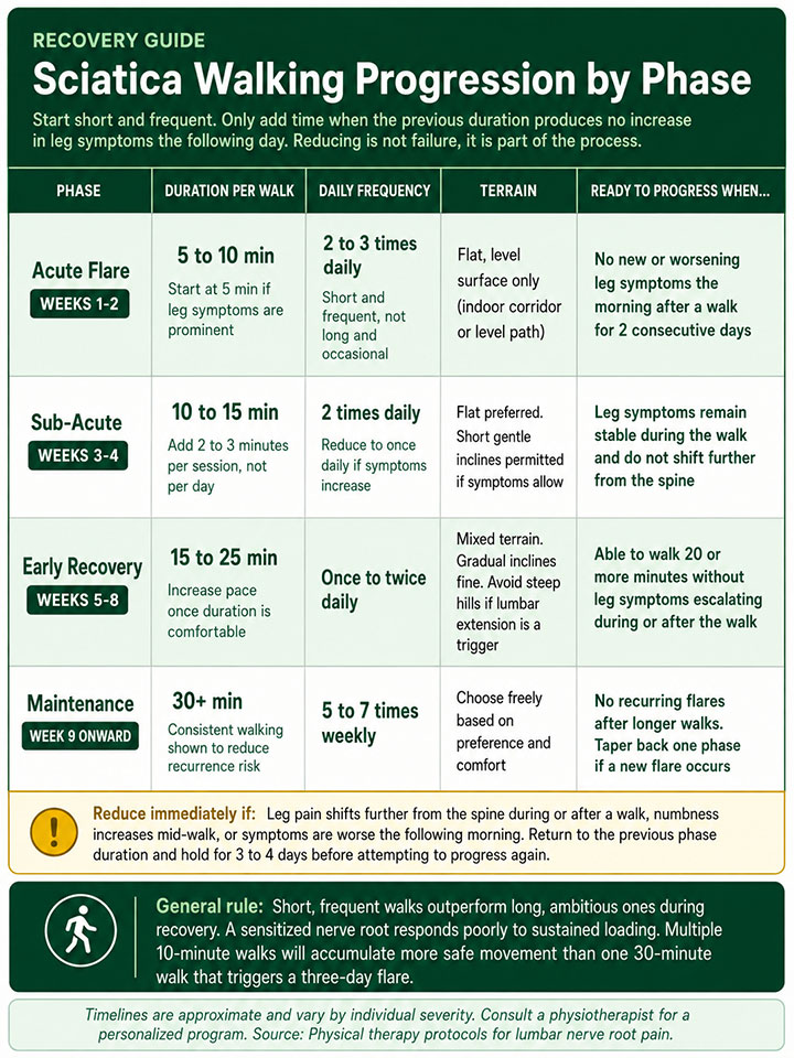 Sciatica Walking Progression Guide Sciatica Walking Progression Guide