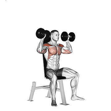seated dumbbell press
