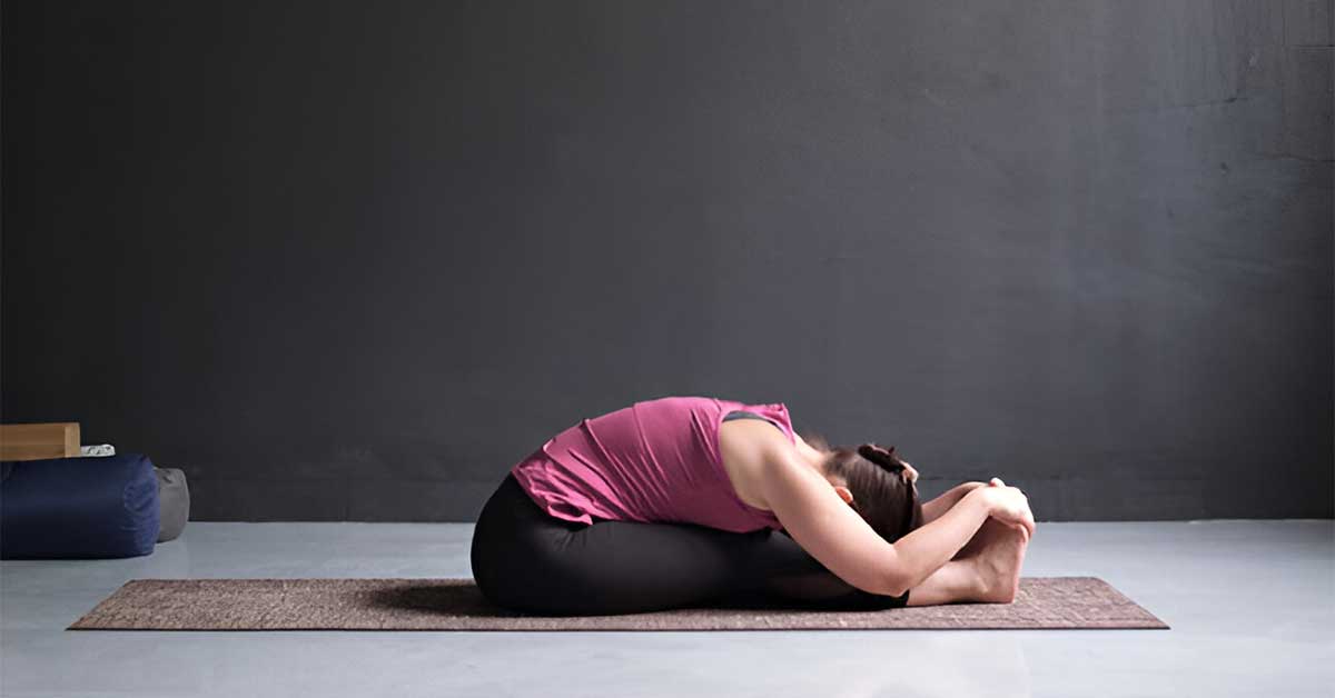 Seated Forward Bend (Paschimottanasana)