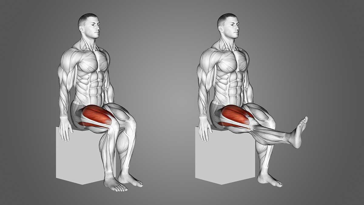 Seated Leg Extensions