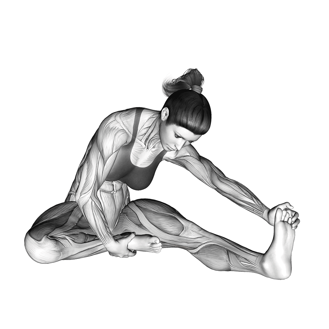 seated single leg hamstring stretch