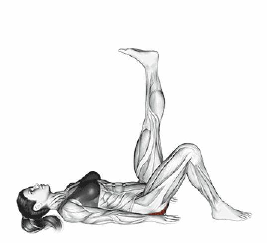 Single leg bridge Single leg bridge