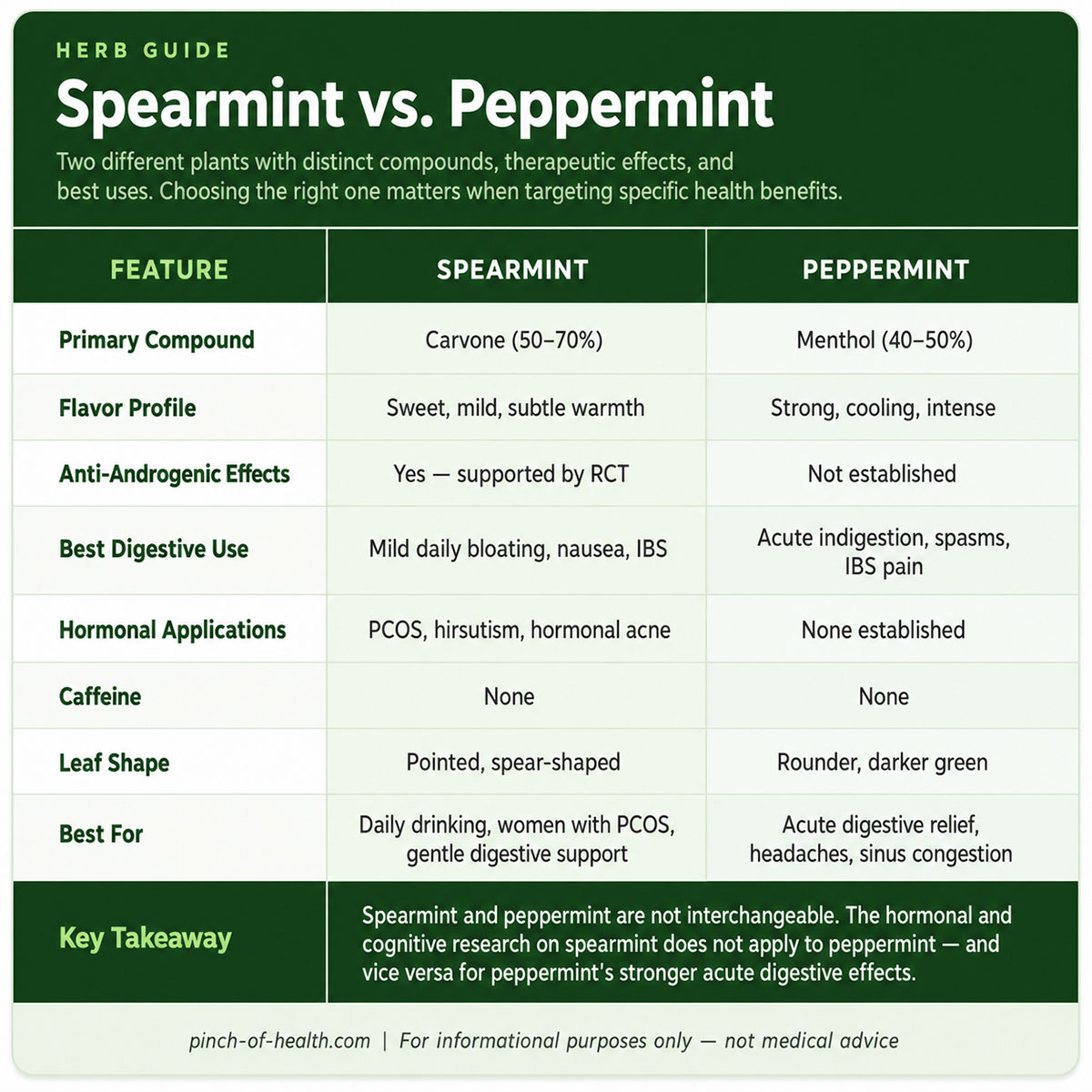 Spearmint vs. Peppermint Spearmint vs. Peppermint