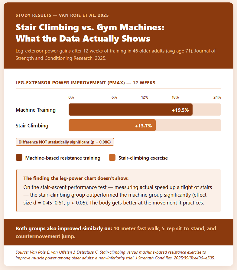 Stair Climbing vs. Gym Machines Stair Climbing vs. Gym Machines