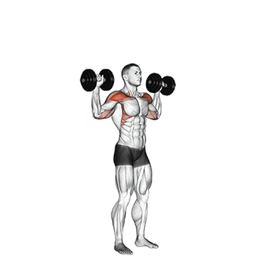 Standing Overhead Press