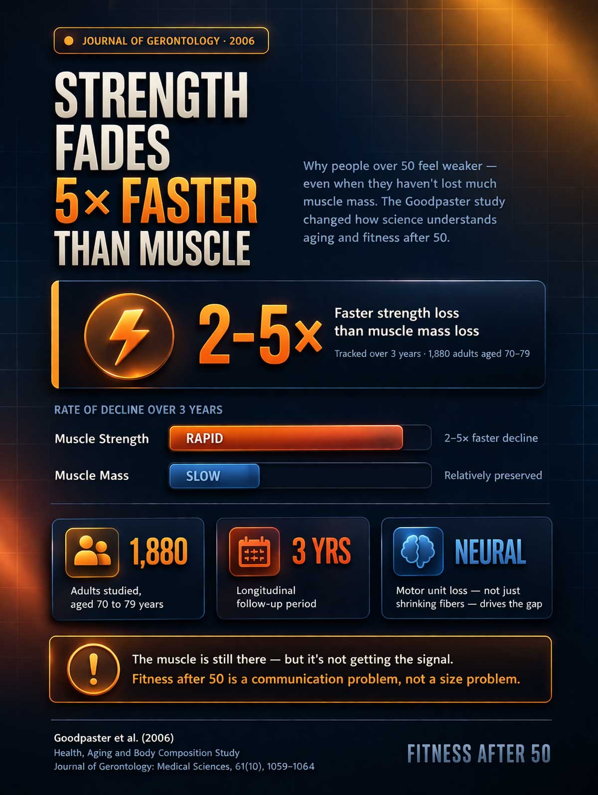 Strength Fades × Faster Than Muscle