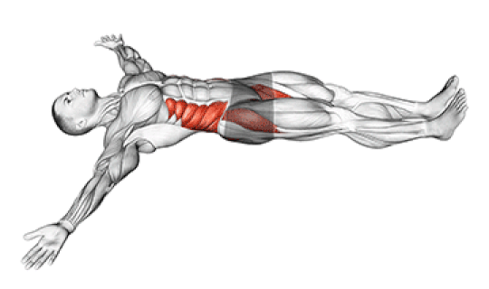 Supine Twist Supine Twist