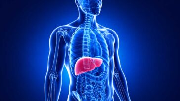 Supplements for Liver Health