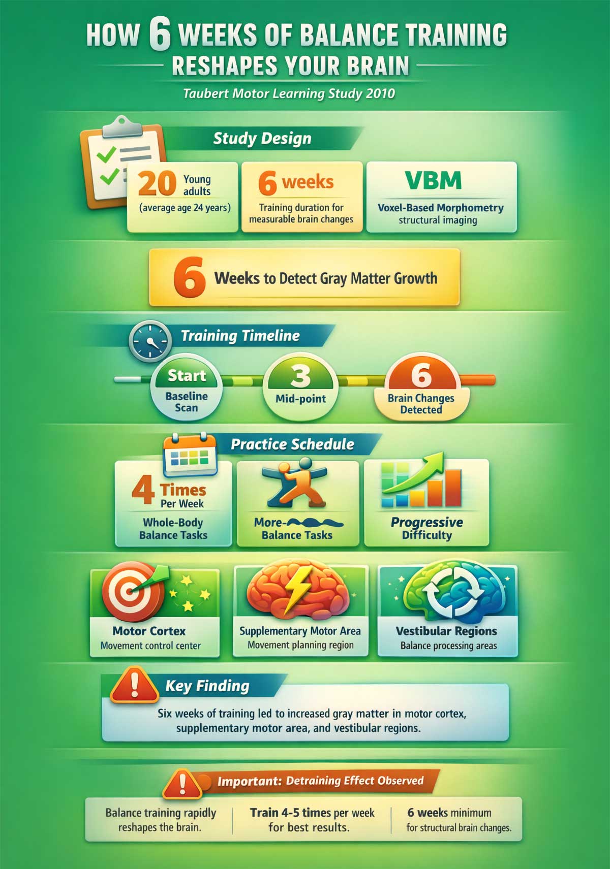 Taubert Motor Learning Study Taubert Motor Learning Study