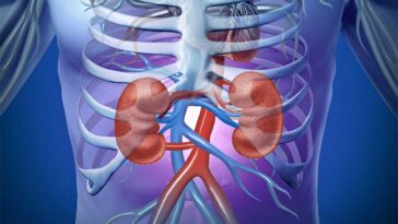 Teas for Kidney Health
