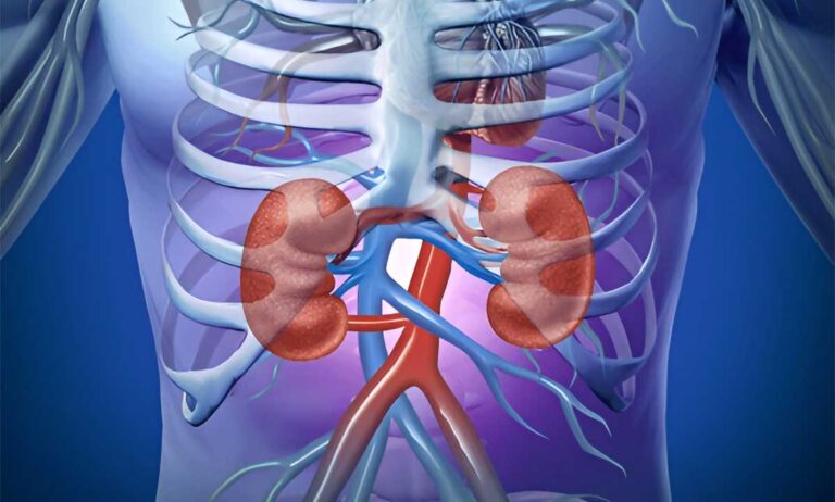 Teas for Kidney Health