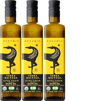 Terra Delyssa Organic Extra Virgin Olive Oil