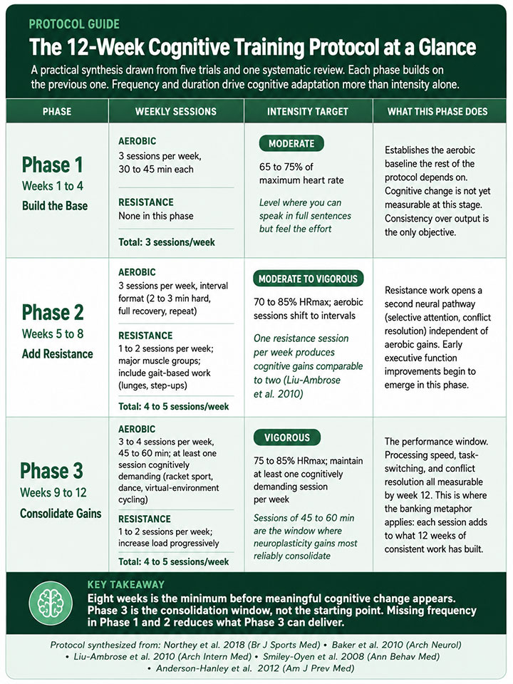 The Week Cognitive Training Protocol at a Glance The Week Cognitive Training Protocol at a Glance
