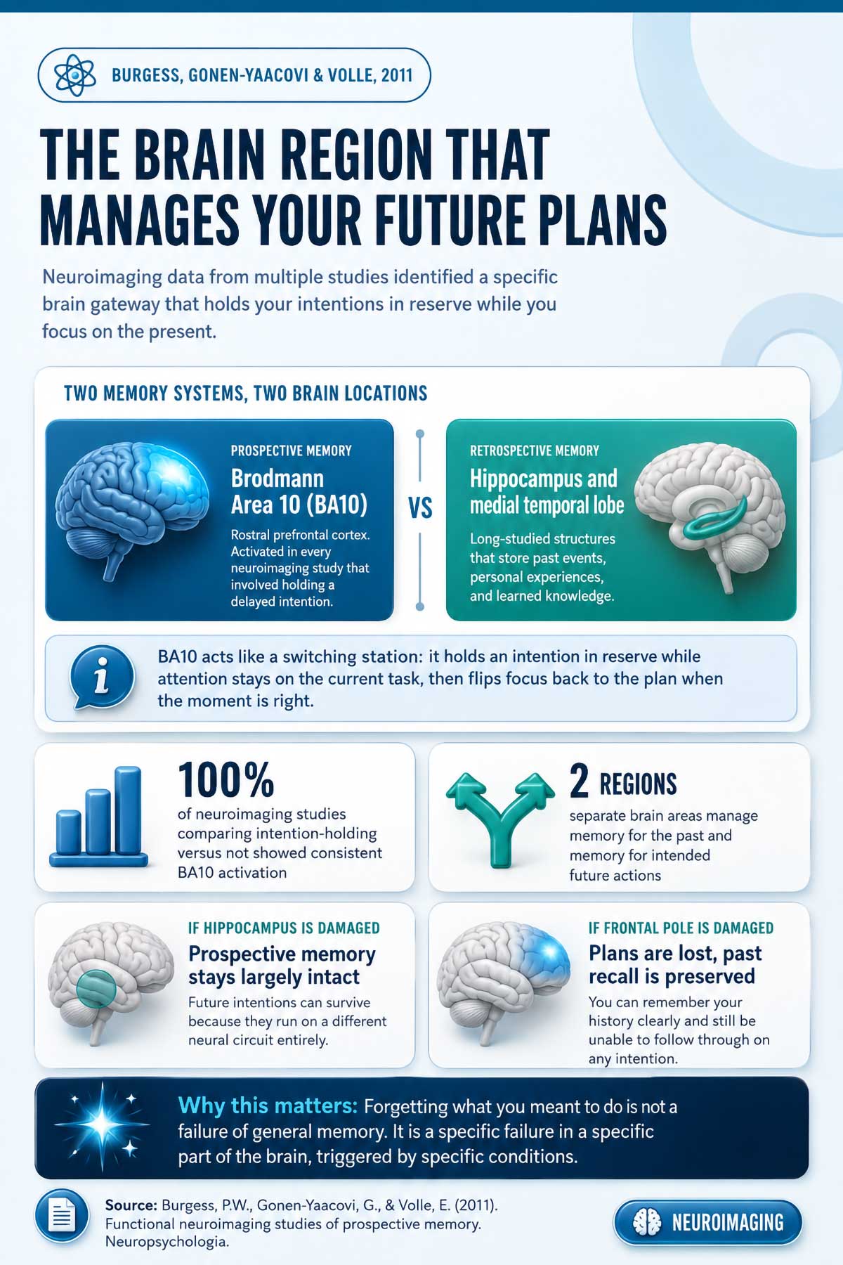 The Brain Region That Manages Your Future Plans