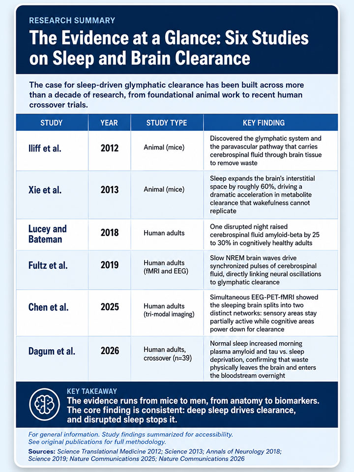 The Evidence at a Glance Six Studies on Sleep and Brain Clearance The Evidence at a Glance Six Studies on Sleep and Brain Clearance