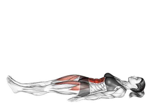 The leg lower