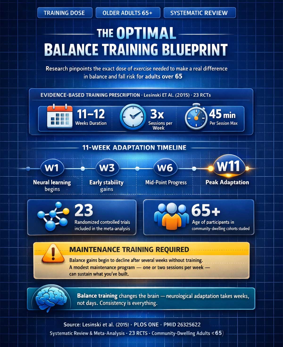 The Optimal Balance Training Blueprint