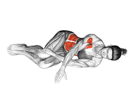 Thoracic Spine Rotation