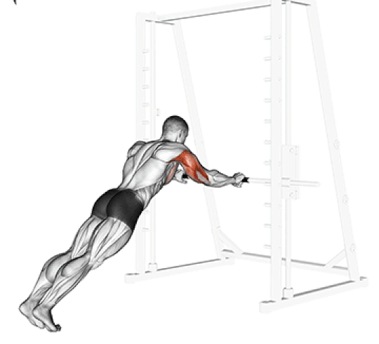 Triceps Bodyweight Extensions