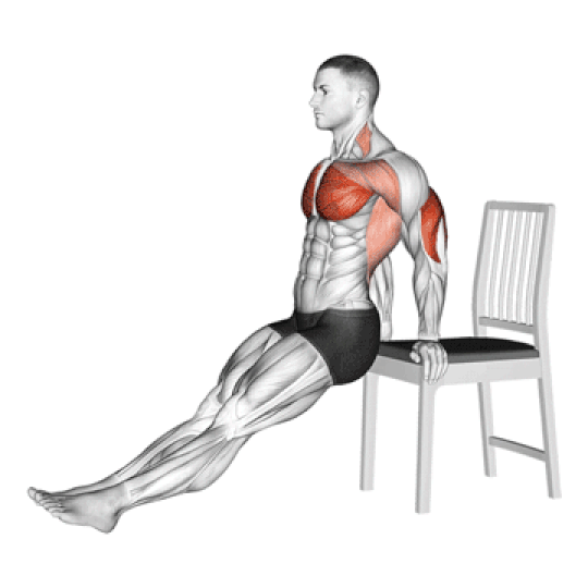 Triceps Chair Dips