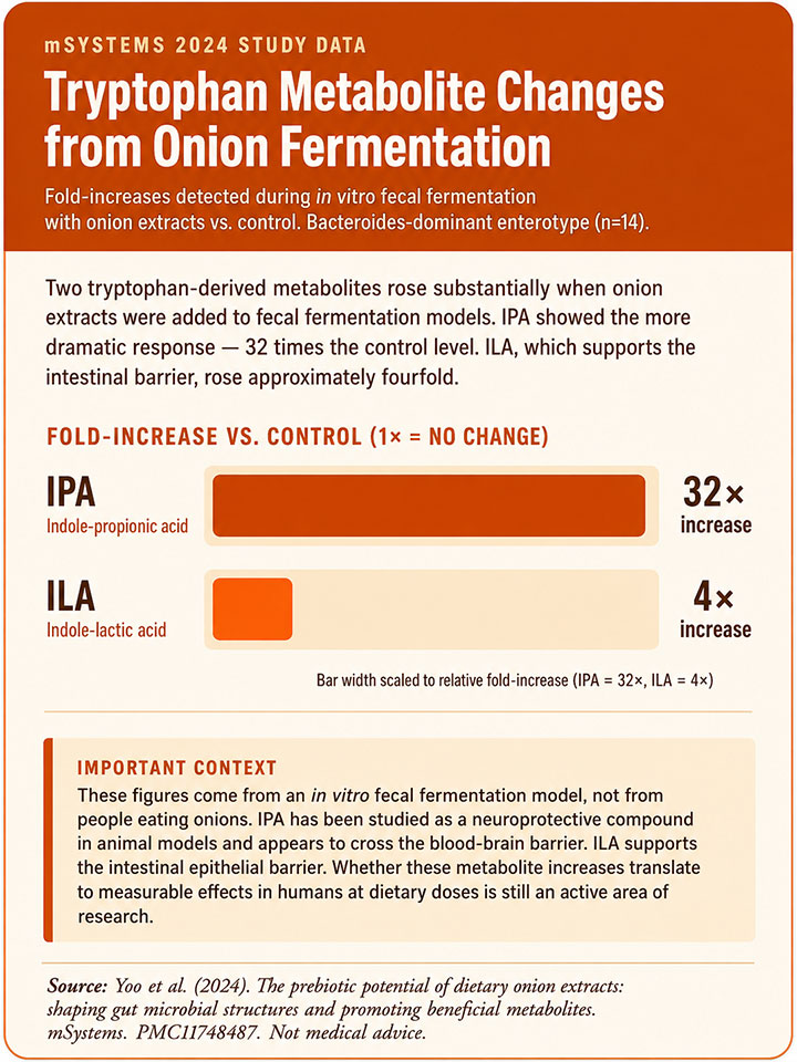Tryptophan Metabolite Changes from Onion Fermentation Tryptophan Metabolite Changes from Onion Fermentation