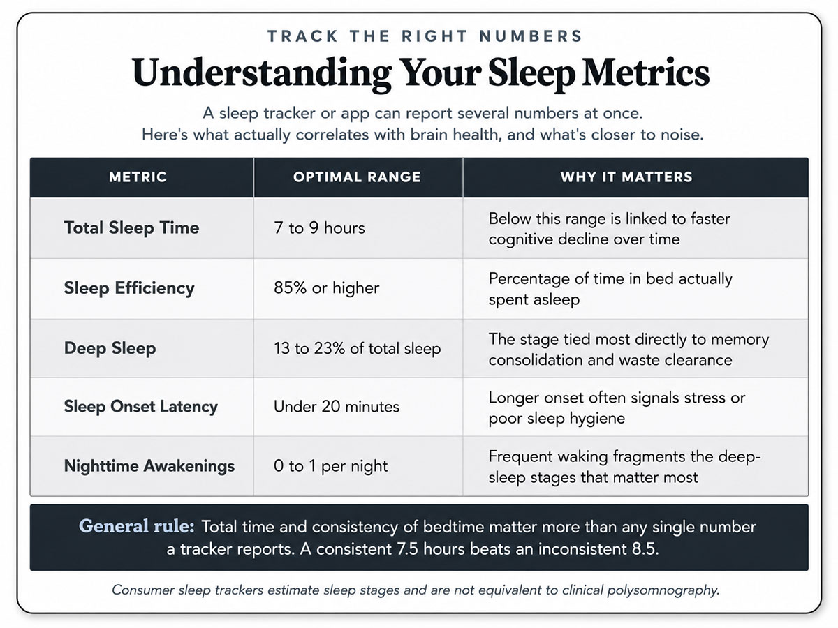 Understanding Your Sleep Metrics Understanding Your Sleep Metrics